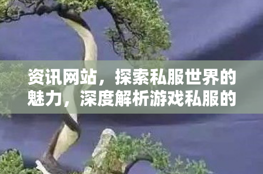 资讯网站，探索私服世界的魅力，深度解析游戏私服的兴起与影响