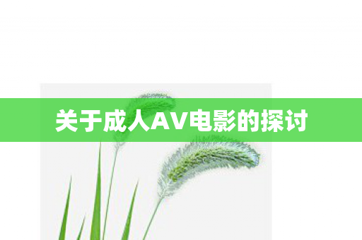 关于成人AV电影的探讨