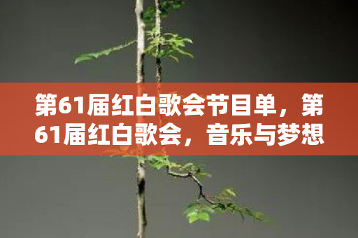 第61届红白歌会节目单，第61届红白歌会，音乐与梦想的璀璨盛宴