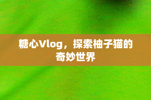 糖心Vlog，探索柚子猫的奇妙世界