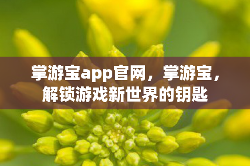 掌游宝app官网，掌游宝，解锁游戏新世界的钥匙