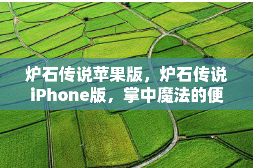 炉石传说苹果版，炉石传说iPhone版，掌中魔法的便捷体验