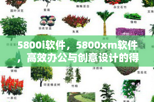 5800i软件，5800xm软件，高效办公与创意设计的得力助手