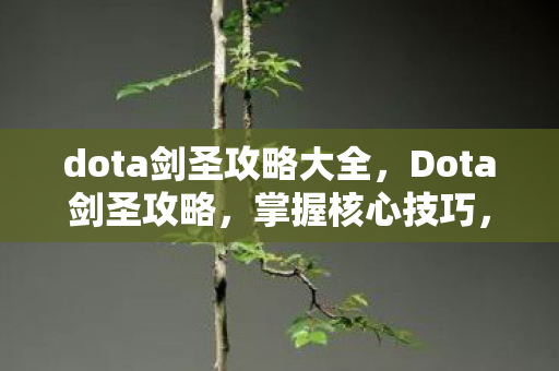 dota剑圣攻略大全，Dota剑圣攻略，掌握核心技巧，提升游戏胜率
