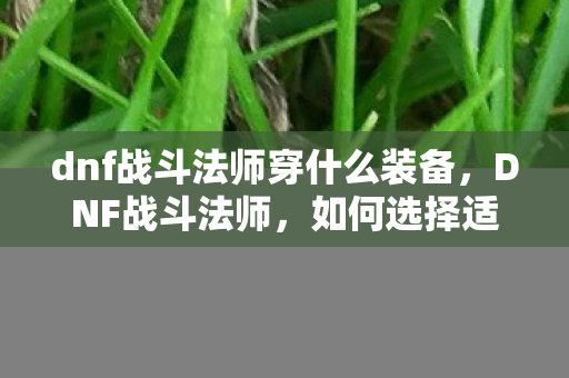 dnf战斗法师穿什么装备，DNF战斗法师，如何选择适合的甲胄？