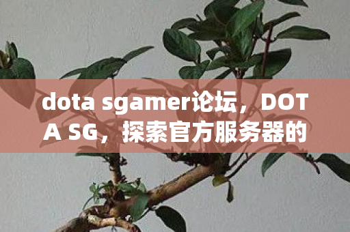 dota sgamer论坛，DOTA SG，探索官方服务器的独特魅力与优势