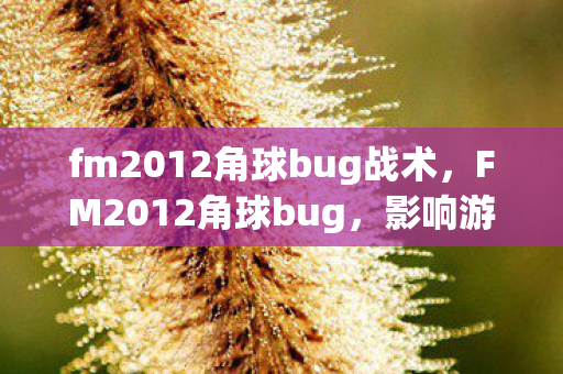 fm2012角球bug战术，FM2012角球bug，影响游戏平衡与玩家体验