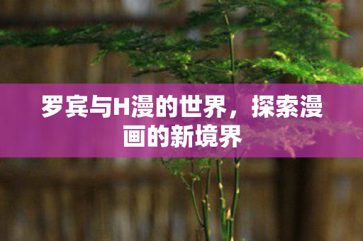 罗宾与H漫的世界,探索漫画的新境界 罗宾与H漫的世界,探索漫画的新境界