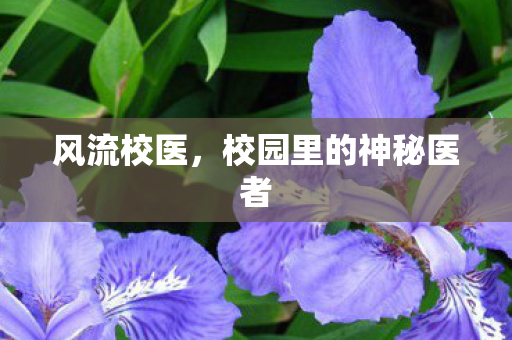 风流校医，校园里的神秘医者