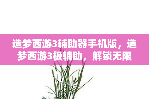 造梦西游3辅助器手机版，造梦西游3极辅助，解锁无限可能的冒险之旅