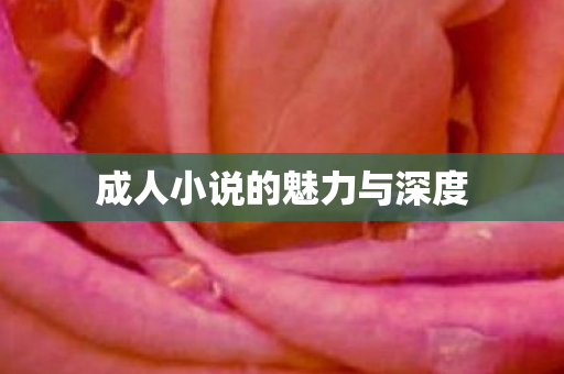 成人小说的魅力与深度