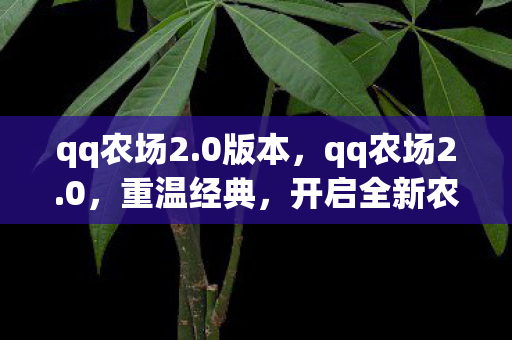 qq农场2.0版本，qq农场2.0，重温经典，开启全新农场之旅