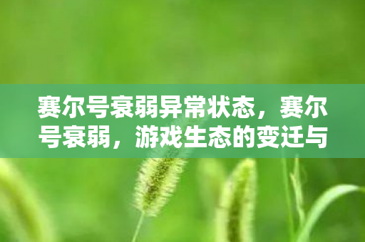 赛尔号衰弱异常状态，赛尔号衰弱，游戏生态的变迁与未来展望