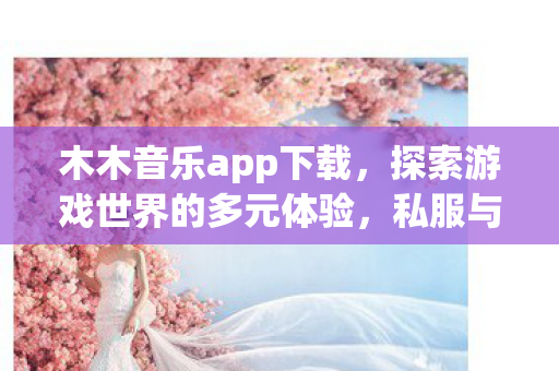 木木音乐app下载，探索游戏世界的多元体验，私服与官方服务器的差异与共存