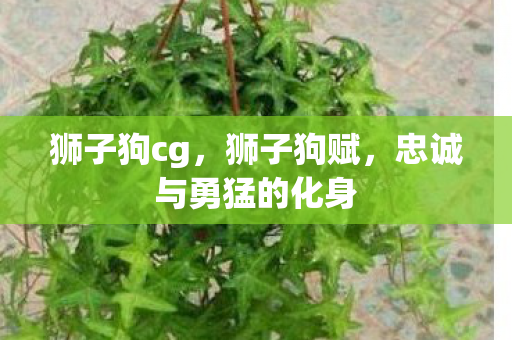 狮子狗cg，狮子狗赋，忠诚与勇猛的化身