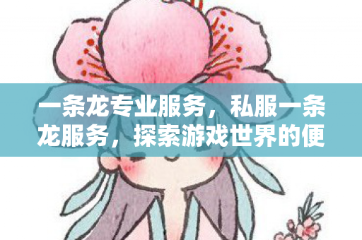 一条龙专业服务，私服一条龙服务，探索游戏世界的便捷之道