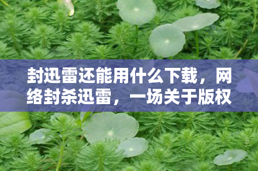 封迅雷还能用什么下载，网络封杀迅雷，一场关于版权与安全的博弈