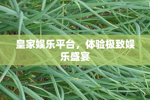 皇家娱乐平台,体验极致娱乐盛宴 皇家娱乐平台,体验极致娱乐盛宴