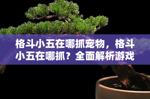 格斗小五在哪抓宠物，格斗小五在哪抓？全面解析游戏角色获取途径