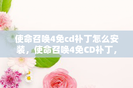 使命召唤4免cd补丁怎么安装，使命召唤4免CD补丁，游戏爱好者的必备工具