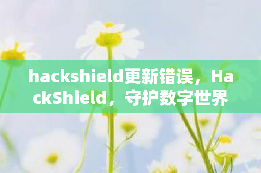 hackshield更新错误，HackShield，守护数字世界的隐形盾牌