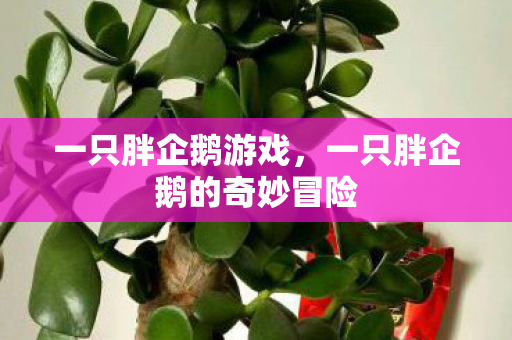 一只胖企鹅游戏，一只胖企鹅的奇妙冒险