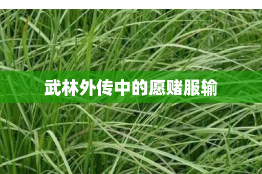 武林外传中的愿赌服输