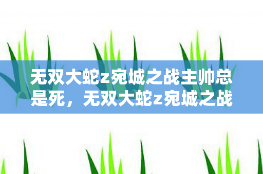 无双大蛇z宛城之战主帅总是死，无双大蛇z宛城之战，策略与勇气的碰撞