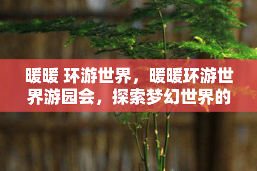 暖暖 环游世界，暖暖环游世界游园会，探索梦幻世界的奇妙之旅