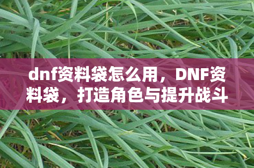 dnf资料袋怎么用，DNF资料袋，打造角色与提升战斗力的得力助手