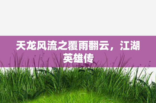 天龙风流之覆雨翻云，江湖英雄传
