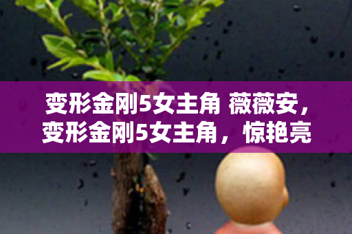 变形金刚5女主角 薇薇安，变形金刚5女主角，惊艳亮相，引领科幻风潮