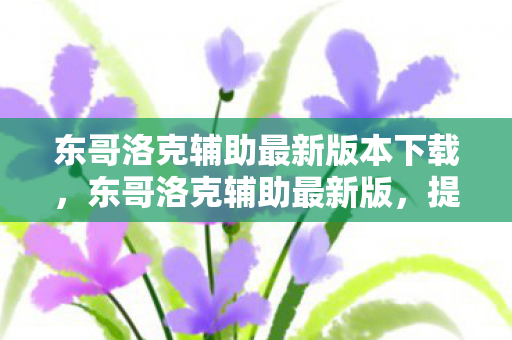 东哥洛克辅助最新版本下载，东哥洛克辅助最新版，提升游戏体验的得力助手