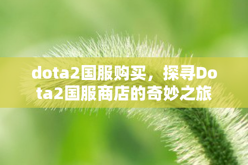 dota2国服购买，探寻Dota2国服商店的奇妙之旅