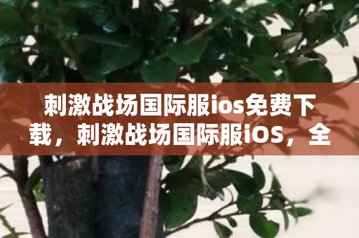 刺激战场国际服ios免费下载，刺激战场国际服iOS，全球玩家的竞技盛宴