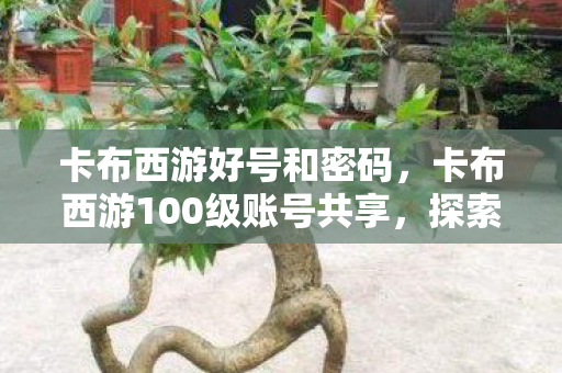 卡布西游好号和密码，卡布西游100级账号共享，探索未知世界的奇妙之旅