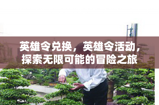 英雄令兑换，英雄令活动，探索无限可能的冒险之旅