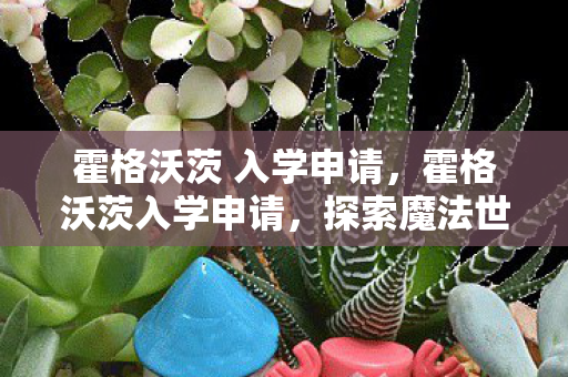 霍格沃茨 入学申请，霍格沃茨入学申请，探索魔法世界的邀请函