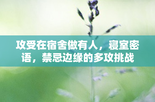 攻受在宿舍做有人，寝室密语，禁忌边缘的多攻挑战