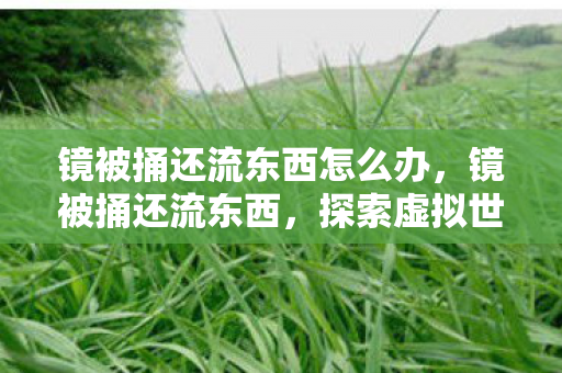 镜被捅还流东西怎么办，镜被捅还流东西，探索虚拟世界的意外之旅