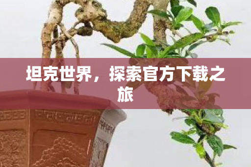 坦克世界,探索官方下载之旅 坦克世界,探索官方下载之旅