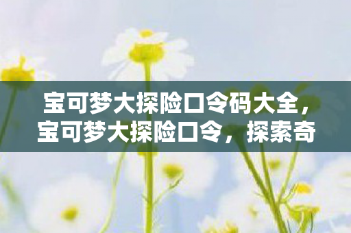 宝可梦大探险口令码大全，宝可梦大探险口令，探索奇妙世界的神秘钥匙
