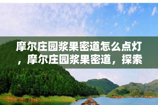 摩尔庄园浆果密道怎么点灯，摩尔庄园浆果密道，探索神秘与奇幻的庄园之旅