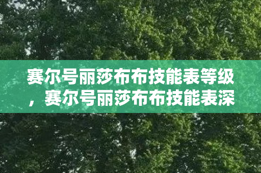 赛尔号丽莎布布技能表等级，赛尔号丽莎布布技能表深度解析
