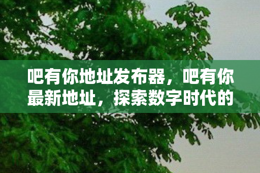吧有你地址发布器，吧有你最新地址，探索数字时代的文化交流新平台