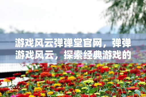 游戏风云弹弹堂官网，弹弹游戏风云，探索经典游戏的魅力与变迁