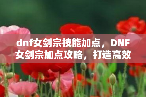 dnf女剑宗技能加点，DNF女剑宗加点攻略，打造高效战斗力的关键