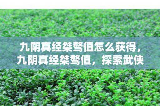 九阴真经桀骜值怎么获得，九阴真经桀骜值，探索武侠世界的独特魅力