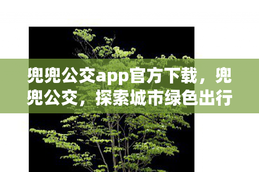 兜兜公交app官方下载，兜兜公交，探索城市绿色出行的智慧选择