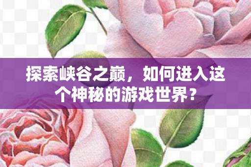 探索峡谷之巅，如何进入这个神秘的游戏世界？